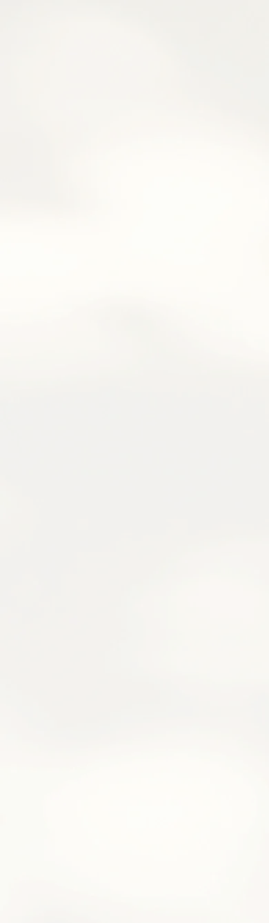 배경